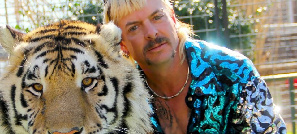 Här är allt du behöver veta om kontroversiella ”Tigerkungen” Joe Exotic
