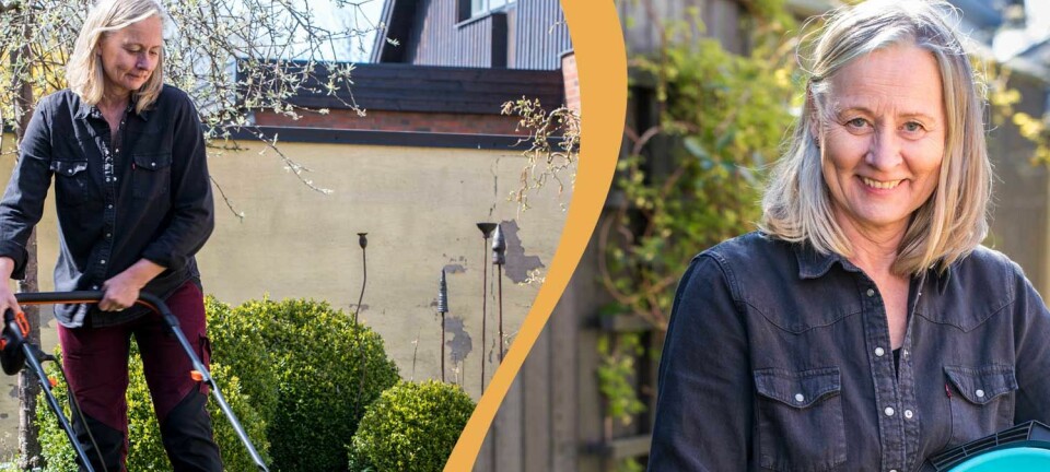 Förbered gräsmattan inför sommaren – steg för steg