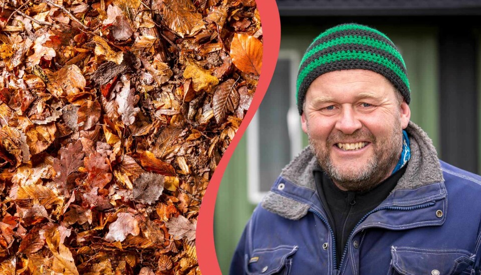 Foto: Krister Hansson/Aftonbladet/Shutterstock Foto: Krister Hansson/Aftonbladet/Shutterstock