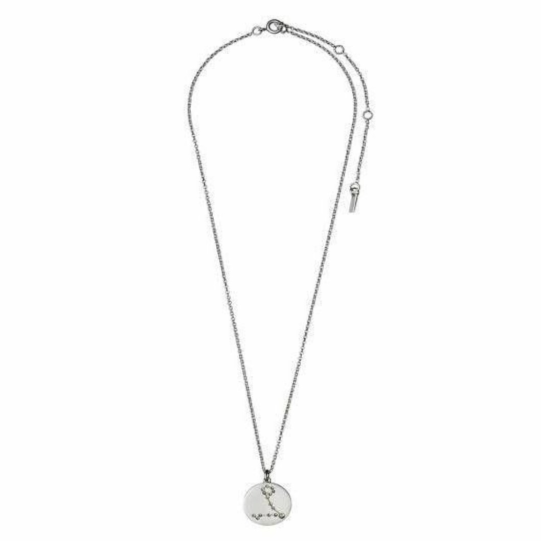 Stjärntecken fiskarna som halsband