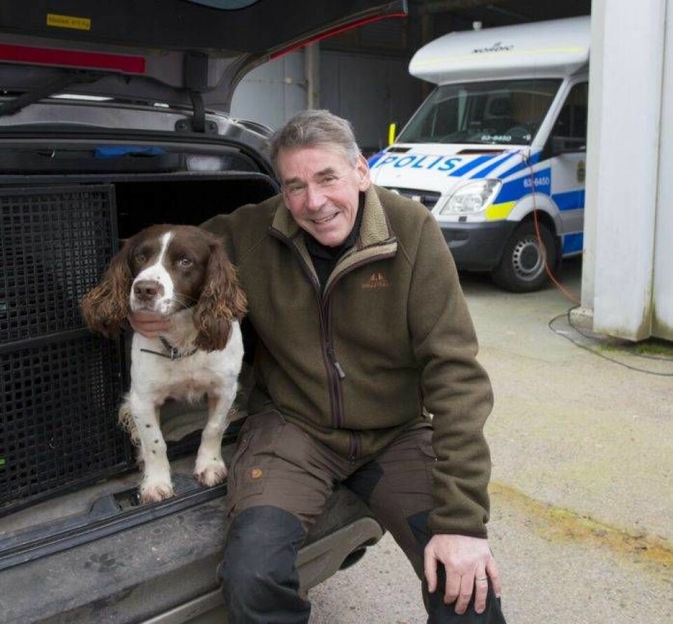 Springer spanieln Ben har varit Johans partner i drygt fyra år. Foto: Peter Helperin Springer spanieln Ben har varit Johans partner i drygt fyra år. Foto: Peter Helperin