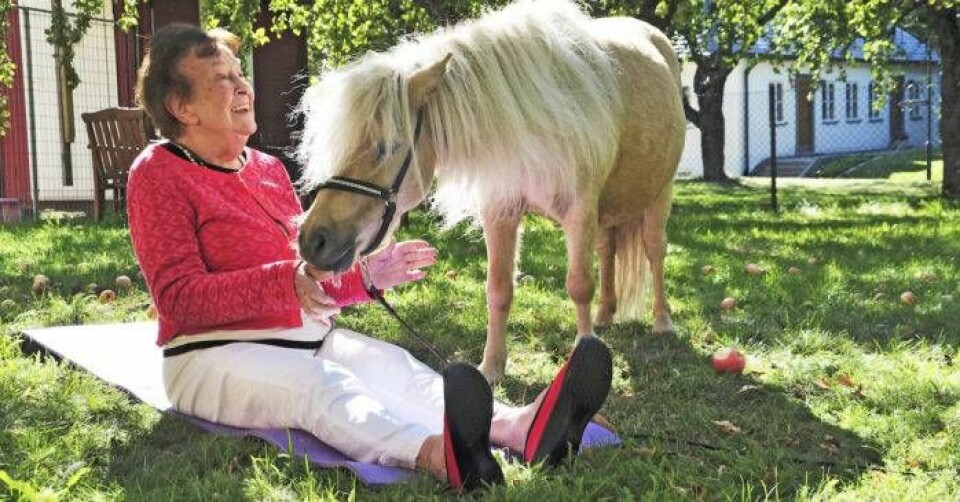 Miniponnyn Asco kommer på besök ofta. Sonja gillar sin fyrbenta vän. Foto: Theresia Kölin Miniponnyn Asco kommer på besök ofta. Sonja gillar sin fyrbenta vän. Foto: Theresia Kölin