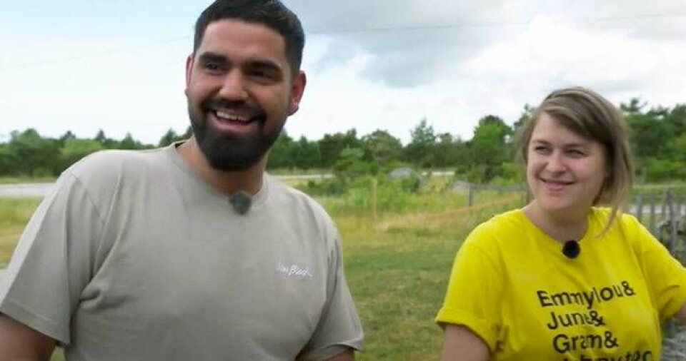 Stor och Linnea Henriksson imponeras av hantverket när fåren blir klippta. Bild: TV4 Stor och Linnea Henriksson imponeras av hantverket när fåren blir klippta. Bild: TV4