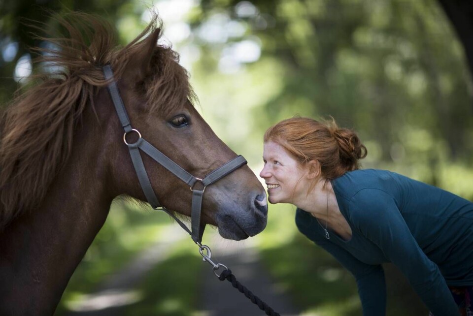 Ett krävande jobb, där det var svårt att sätta gränser, bidrog till att Elin Klingstedt gick in i väggen. Att vara med hästarna har lärt henne att koppla av. Foto: Ewa Stackelberg Ett krävande jobb, där det var svårt att sätta gränser, bidrog till att Elin Klingstedt gick in i väggen. Att vara med hästarna har lärt henne att koppla av. Foto: Ewa Stackelberg