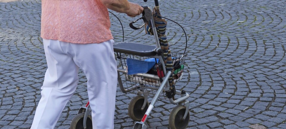 Linnea: Jag blev räddad av en tant med rullator