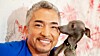 Cesar Millan, även känd som ”mannen som kan tala med hundar”. Foto: TT