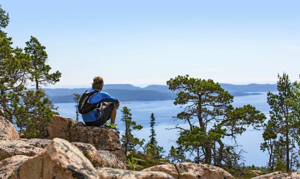 Höga Kustenleden tar vägen genom flera naturreservat, en nationalpark och ett naturvärldsarv. Höga Kustenleden tar vägen genom flera naturreservat, en nationalpark och ett naturvärldsarv.