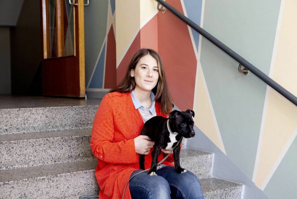 Livet har inte varit detsamma sedan Isabella Cocito smittades av TBE. Nu tillbringar hon mycket tid hemma i lägenheten. Sedan de fick hundvalpen Penny har hon känt sig mindre ensam. Livet har inte varit detsamma sedan Isabella Cocito smittades av TBE. Nu tillbringar hon mycket tid hemma i lägenheten. Sedan de fick hundvalpen Penny har hon känt sig mindre ensam.