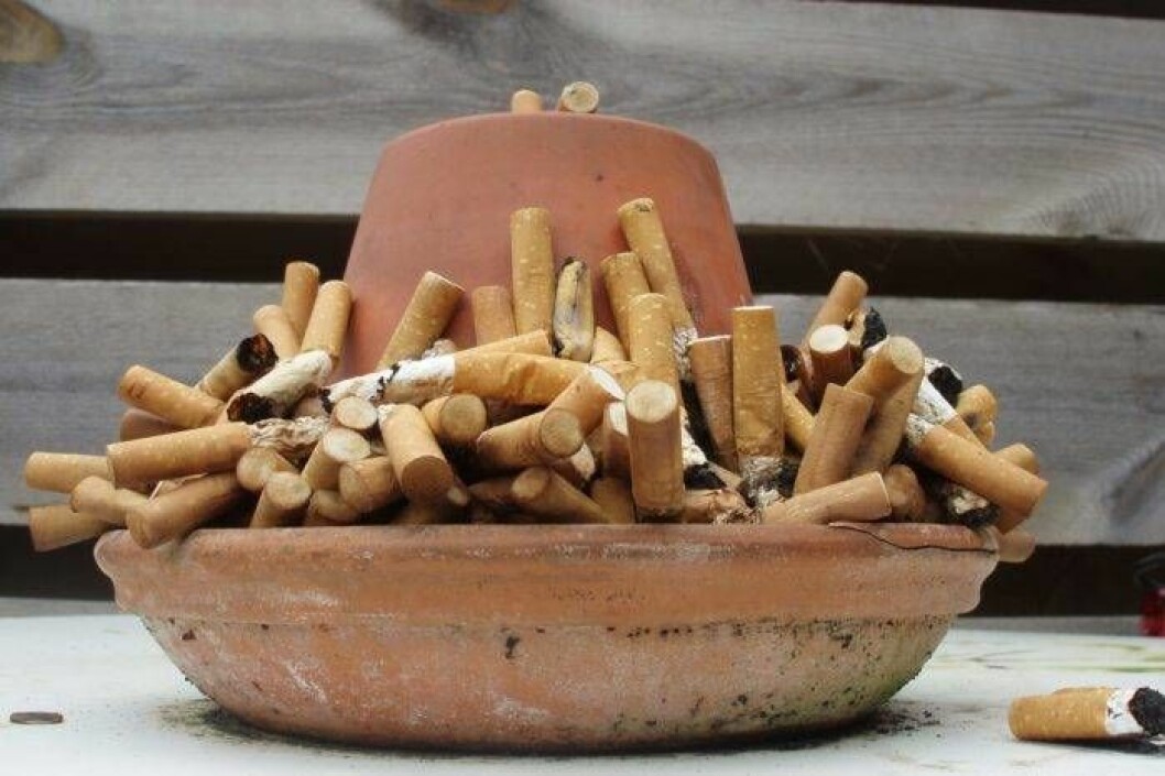 En upp- och nervänd lerkruka fylld av cigarettfimpar.