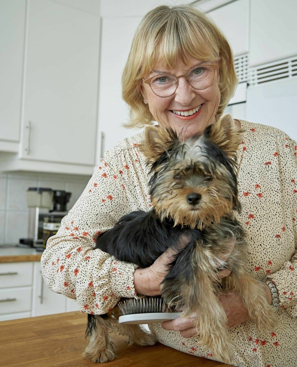 Margareta och hennes man har nu skaffat en ny valp, lille Moltas. Foto: Stefan Lindblom Margareta och hennes man har nu skaffat en ny valp, lille Moltas. Foto: Stefan Lindblom