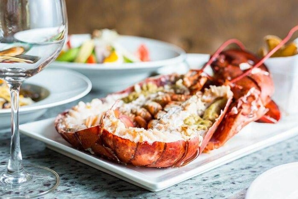 Kräftskiva? Här är 4 recept som passar till kräftorna
