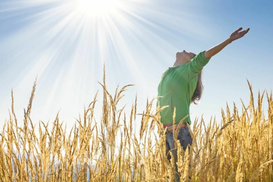 Livsinställning och förundran inför livet kan ha god effekt på inflammationer i kroppen. Foto: Shutterstock/TT Kvinna på fält vänder upp huvudet mot solen