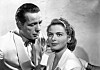 – Jag är den blygaste människa som uppfunnits. Men jag har ett lejon inom mig som vägrade hålla, tyst har Ingrid Bergman sagt.