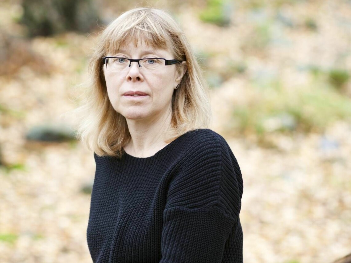 Carin Holmberg har forskat i ämnet våld i nära relationer. Carin Holmberg har forskat i ämnet våld i nära relationer.