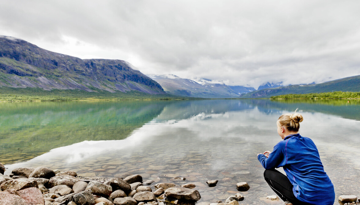 Sommar i Sverige: 9 fantastiska naturupplevelser