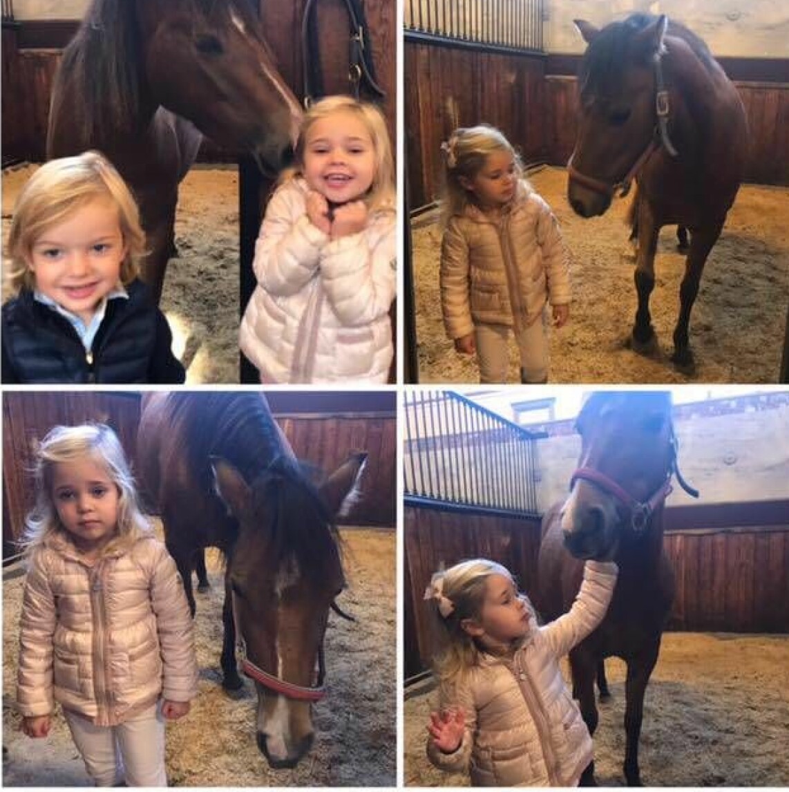 Leonore hälsade på Heidi som nyligen flyttat till Hovstallet, då två år gammal. Leonore hälsade på Heidi som nyligen flyttat till Hovstallet, då två år gammal.