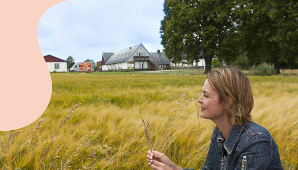 Inger Ljungs bästa semestertips på Österlen i Skåne