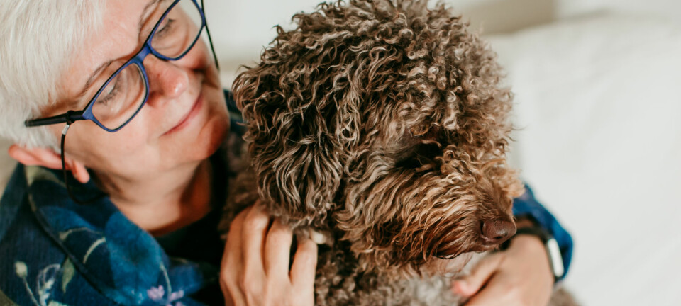 Läsarberättelse: Så hanterade jag sorgen när min hund dog