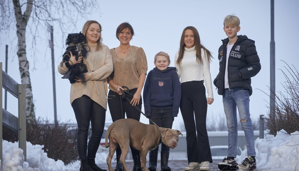 Carina Sende omgiven av sina fyra barn Ronja, Love, Emilia, Elias och hundarna Jax och Enzo. Carina Sende omgiven av sina fyra barn Ronja, Love, Emilia, Elias och hundarna Jax och Enzo.