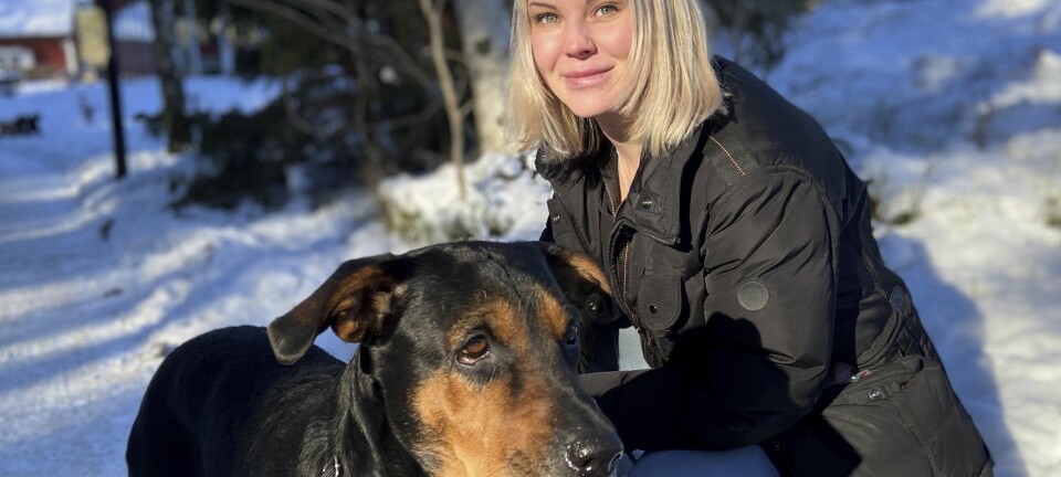 Sandie tog sig ur missbruket – och hjälper utsatta hundar