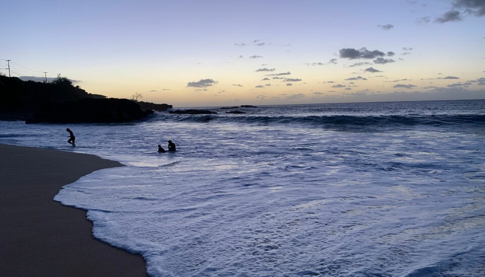 Den vackra stranden på Hawaii där Hanna försvann. Den vackra stranden på Hawaii där Hanna försvann.