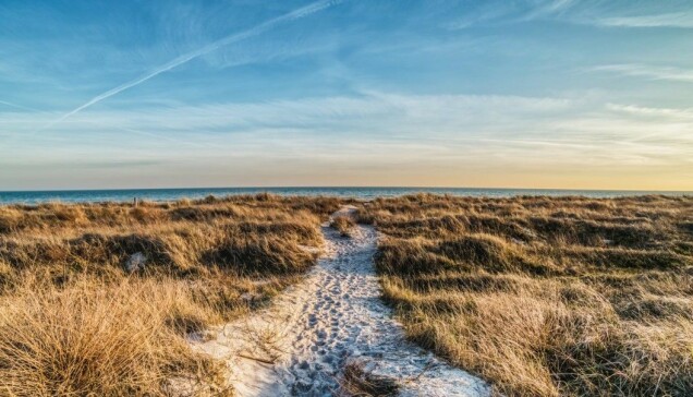 Falsterbonäset erbjuder svårslagen natur i Skåne. Falsterbonäset erbjuder svårslagen natur i Skåne.