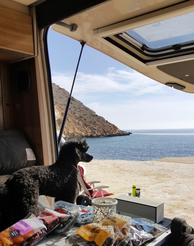 Eva åker inte helt ensam på sina turer. Hunden Tom hänger med. Eva åker inte helt ensam på sina turer. Hunden Tom hänger med.