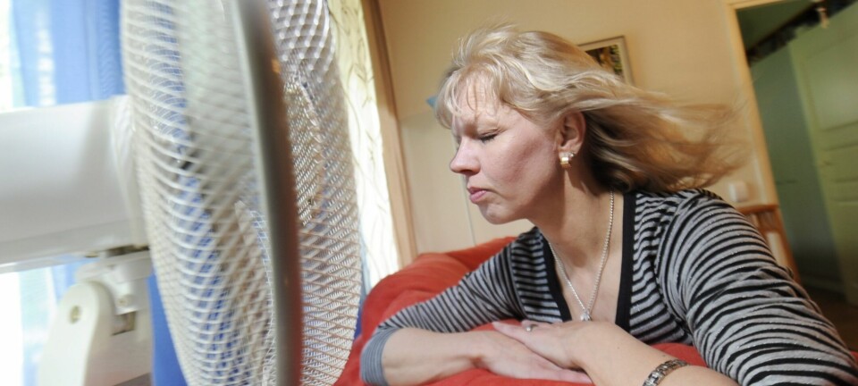 De bästa knepen för att hålla hemmet kyligt i sommar