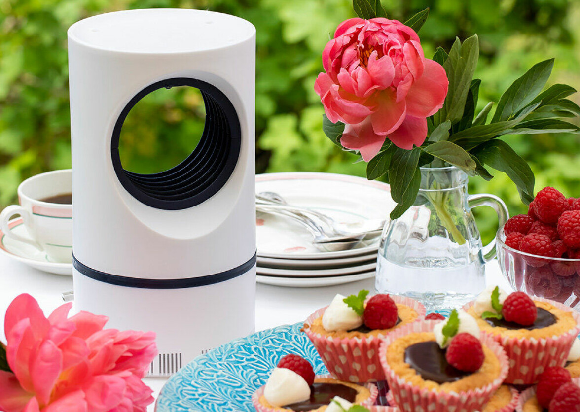Så slipper du mygg och andra insekter i sommar – 6 tips!