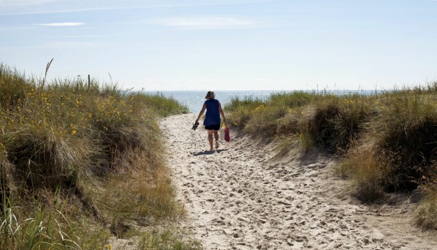 Sudersand på Fårö har kritvita räfflade stränder. Sudersand på Fårö har kritvita räfflade stränder.