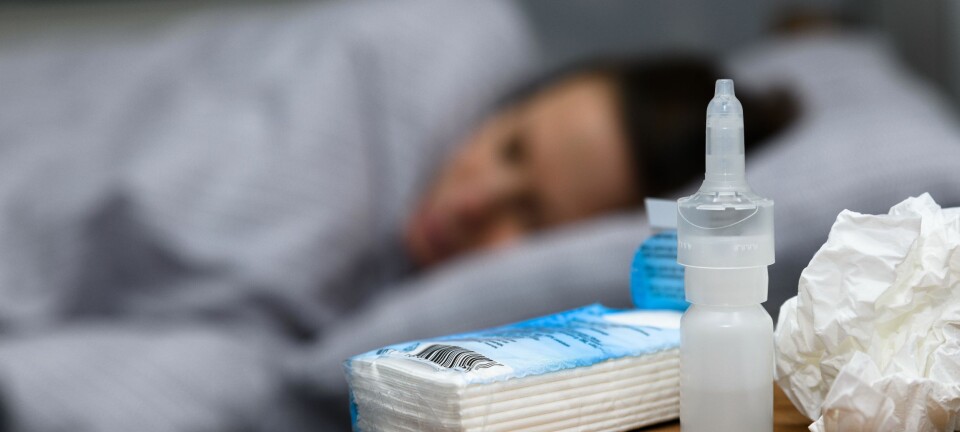 Så kan du lindra din bihåleinflammation – 5 enkla knep