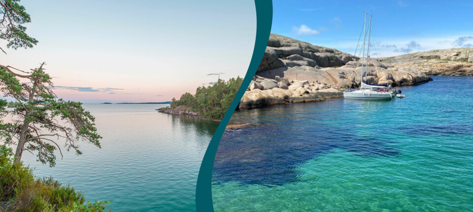 Bada i turkost vatten – här är Sveriges finaste kalkbrott och laguner