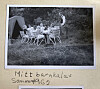 Agnes barnkalas sommaren 1962.