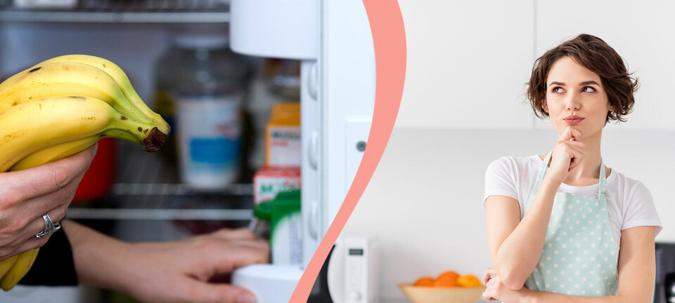 Använd din kyl på rätt sätt – 8 tips som förlänger matens livslängd