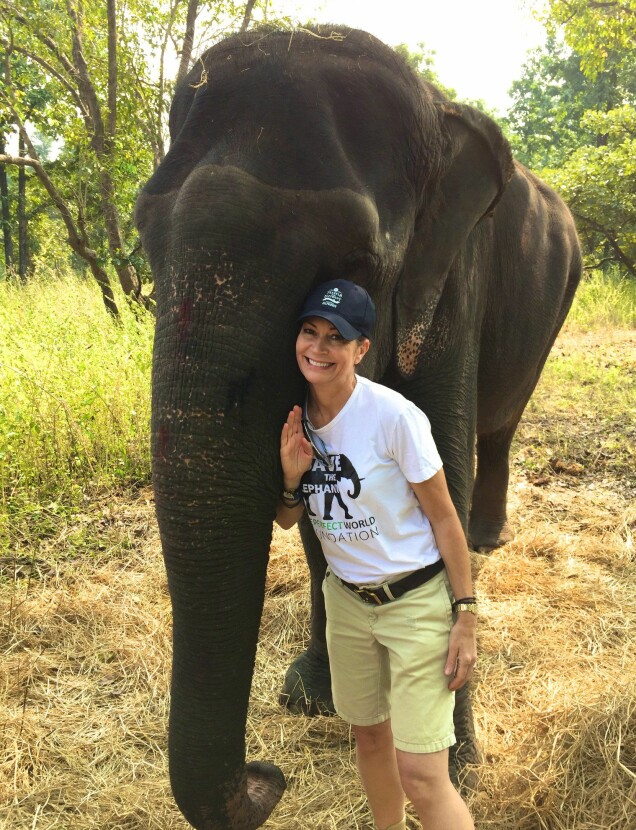 TPWF är ambassadörer för projektet Elephant Family som Camilla Bowls bror Mark Shands grundade innan han gick bord. Här är Ragnhild Jacobssons med Mark Shands elefant Tara i Indien. TPWF är ambassadörer för projektet Elephant Family som Camilla Bowls bror Mark Shands grundade innan han gick bord. Här är Ragnhild Jacobssons med Mark Shands elefant Tara i Indien.