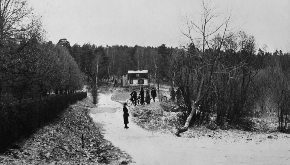 Här vid Lötsjön hittades Gerd Johanssons döda kropp. Ett vittne hade sett henne lockas in i en mörk bil. Här vid Lötsjön hittades Gerd Johanssons döda kropp. Ett vittne hade sett henne lockas in i en mörk bil.