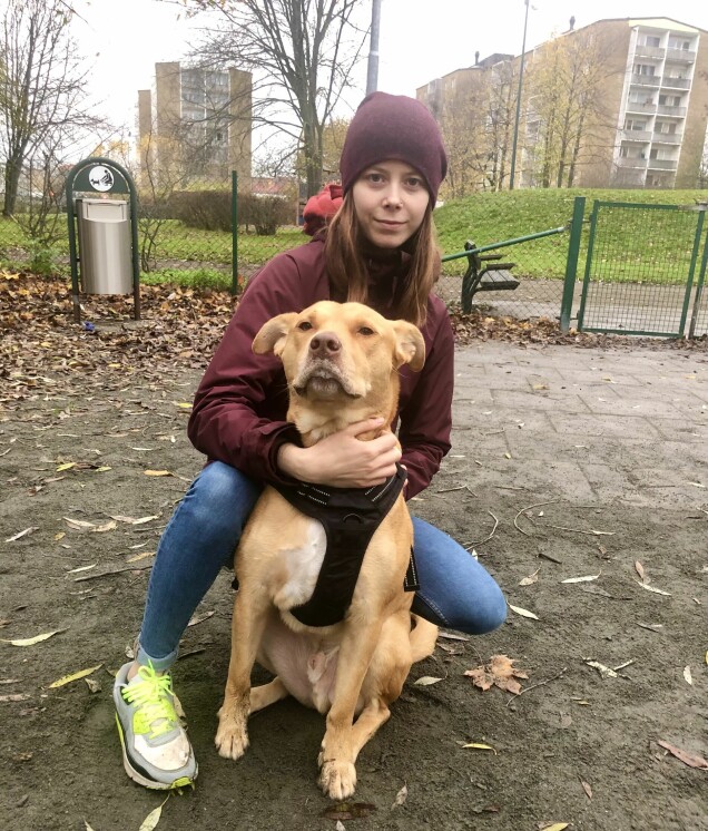 Hunden Nano åt bullar med metall: “Jag fick fullständig panik”