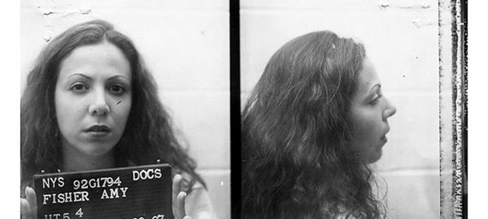 Long Island Lolita – den livsfarliga älskarinnan