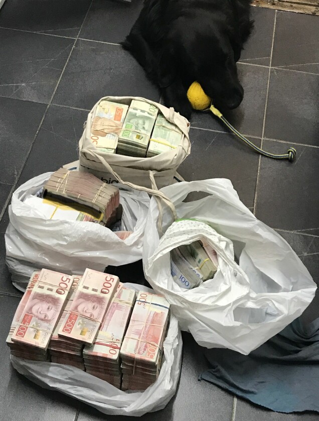 Polishunden Prinsen har somnat in – hundföraren: 'hjärtat blöder'