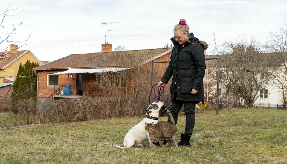 Johanna är kritisk till att det tog så lång tid för henne att få gehör hos vården. Johanna är kritisk till att det tog så lång tid för henne att få gehör hos vården.