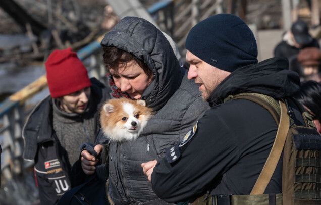 7 ögonblick från kriget som berör oss djupt – Ukrainas sorg i bilder