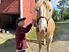 Sofias son med grannens häst.