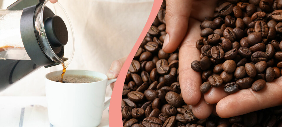 Så mycket har kaffepriset ökat i år – snart är måttet rågat