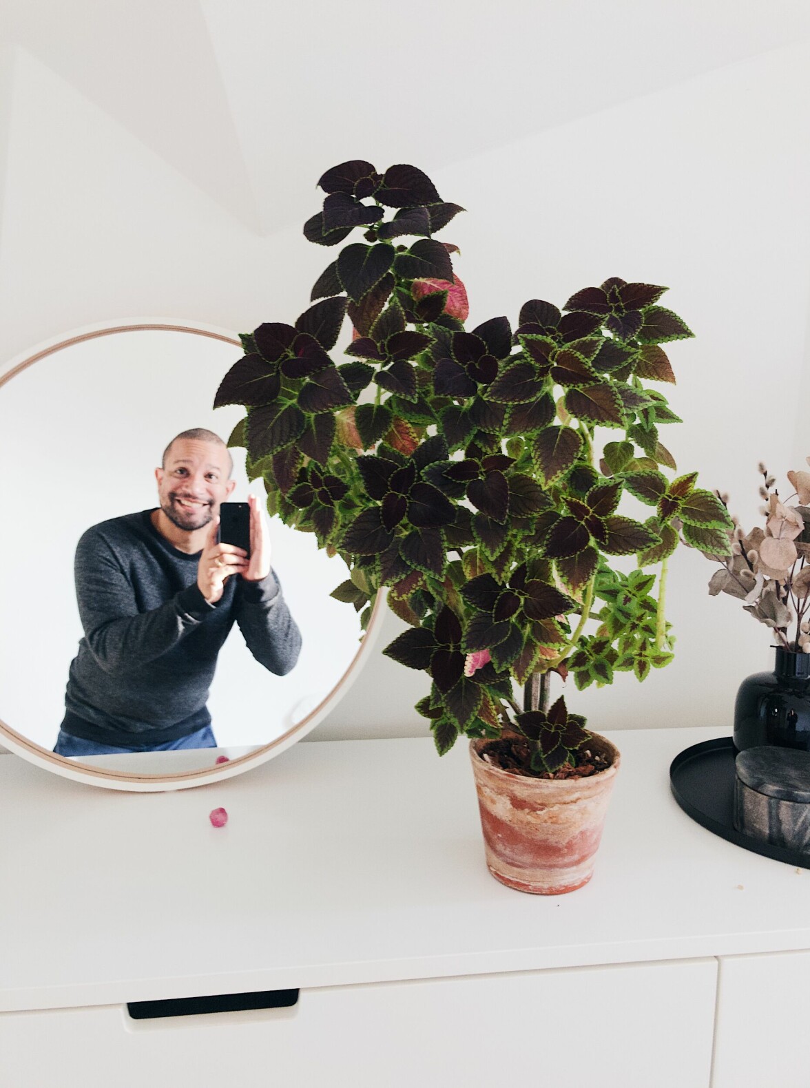 Mattias Mattisson med en av de plantor som han grott från stickling. Mattias Mattisson med en av de plantor som han grott från stickling.