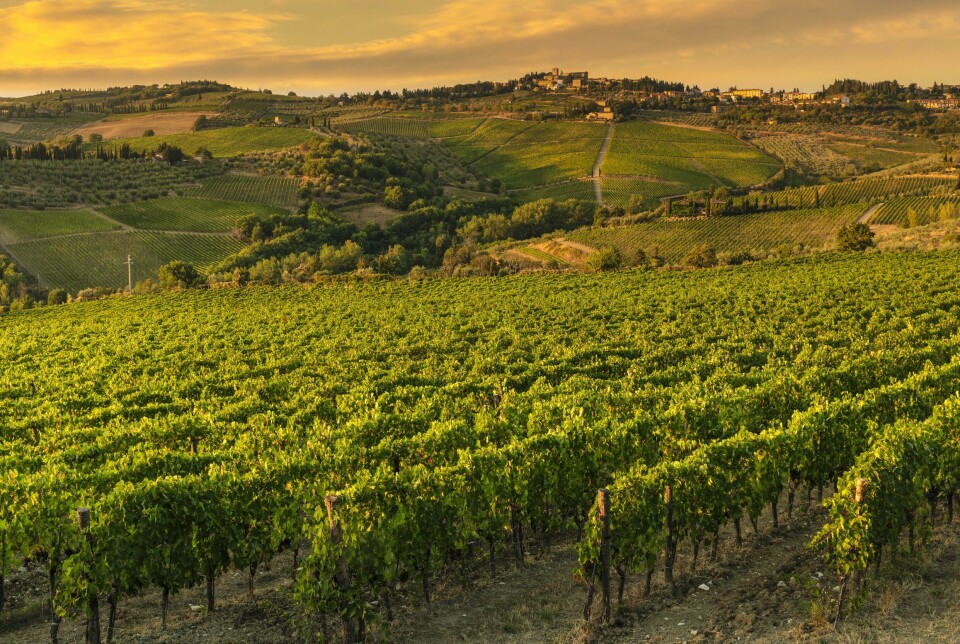 Toscana, Italien. Toscana, Italien.