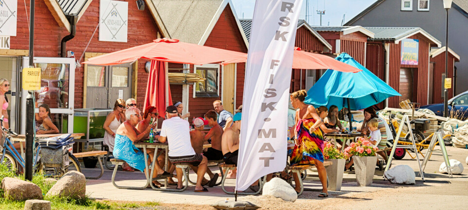 15 härliga campingpärlor vi gärna åker till i sommar!