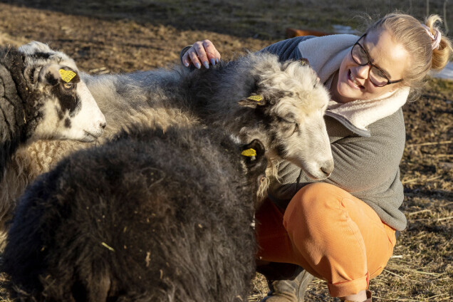 Vilma Lindvall ska utbilda sig till veterinär. Vilma Lindvall ska utbilda sig till veterinär.