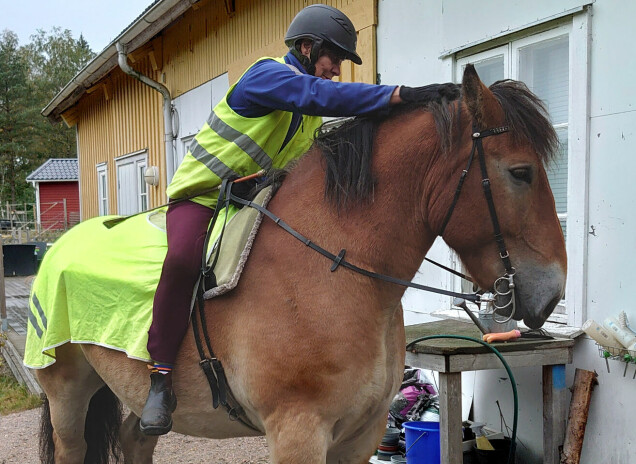 Margareta på hästryggen. Margareta på hästryggen.