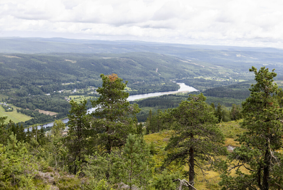 Naturen är storslagen i Värmland. Här utsikt från Branäs. Naturen är storslagen i Värmland. Här utsikt från Branäs.
