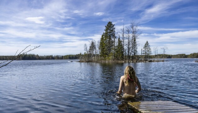 Mitt i sjön ligger en ö som de kallar för Barnens ö och dit brukar Annas dotter Joy vada tillsammans med sina kompisar. Mitt i sjön ligger en ö som de kallar för Barnens ö och dit brukar Annas dotter Joy vada tillsammans med sina kompisar.